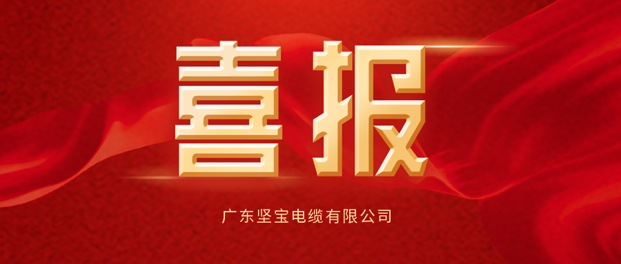 喜訊丨91看片下载入口電纜連續中標與取得知識產權管理體係認證證書